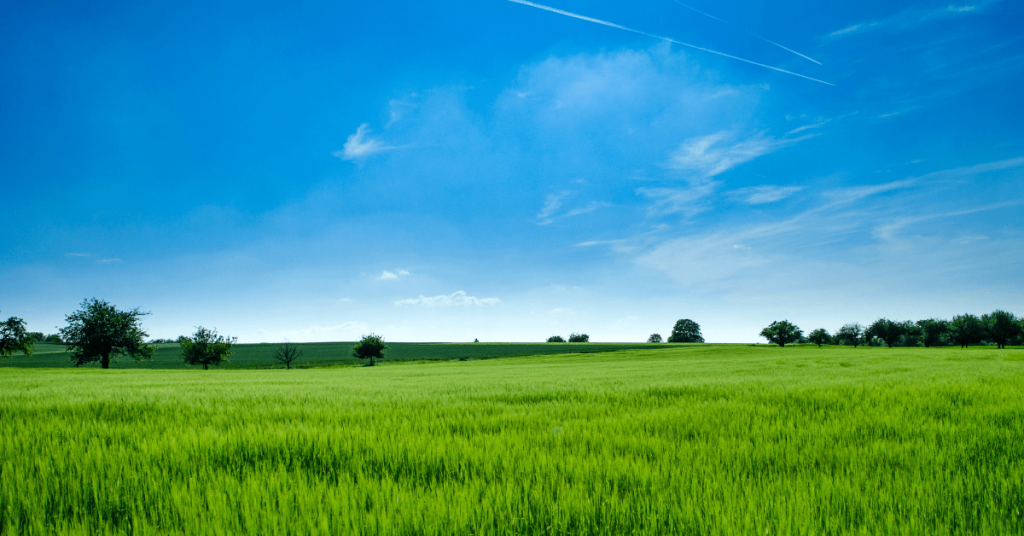 Username Investment has conceptualize its goal in affordable Housing program