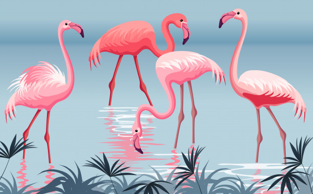 Flamingos in Lake Nakuru