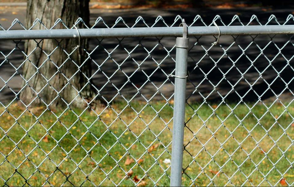 Chain Link Fence
