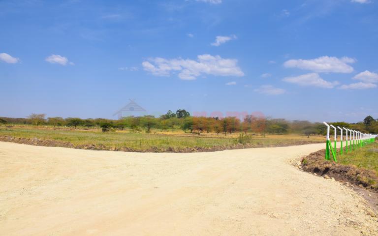 The Delight - Nakuru Phase I