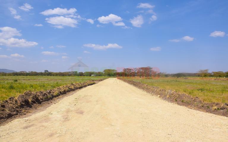 The Delight - Nakuru Phase I