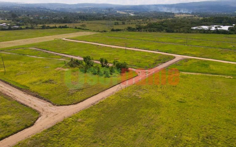 The Delight - Nakuru Phase 2