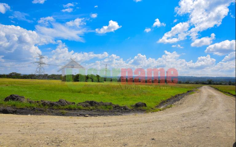 The Delight - Nakuru Phase 2