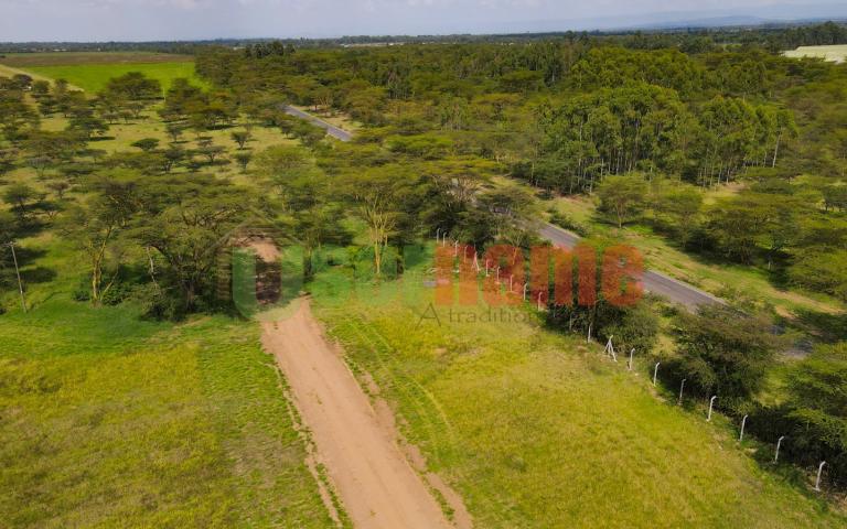 The Delight - Nakuru Phase 2