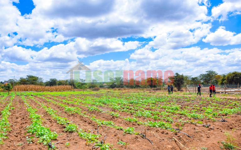 Amber Estate-Kitengela