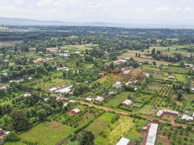 Nakuru Grove Gardens 