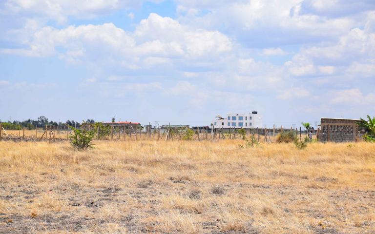 Cedarville Estate Juja