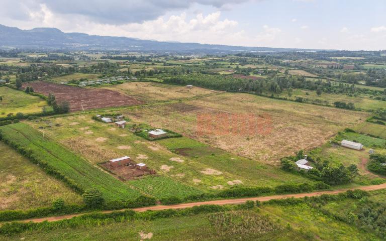   Nakuru Grove Gardens Phase 2