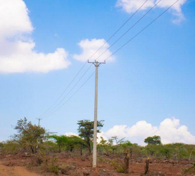 Ongoing Beaconing and Grading of Access Roads