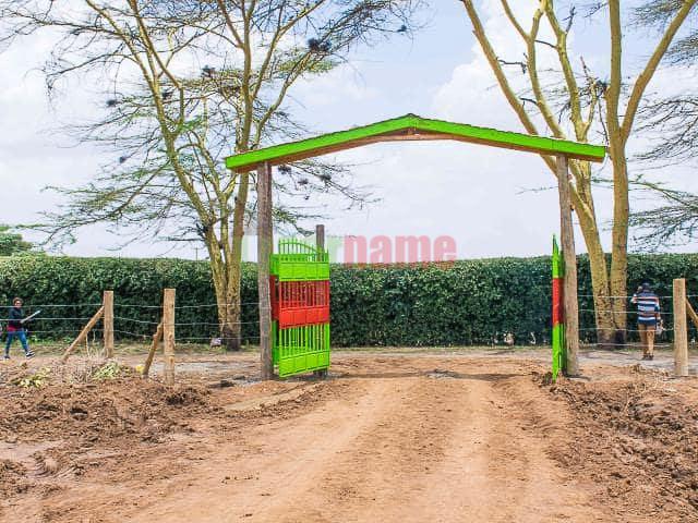 The Hamptons-Nakuru Phase II